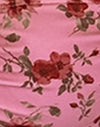 Floraison florale rose