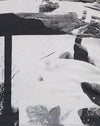 Collage de photos gris