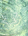 Abstrait Paisley Vert