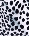 Dalmatien noir et blanc