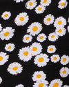 MiniDaisyNoir