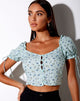 Image de Flaba Top in Pretty Petal Green