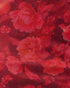 Rose rugueux Bourgogne