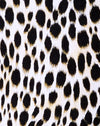Guépard