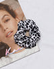 Image du chouchou en dalmatien