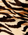 Tigre d'or