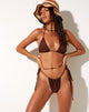 Image de PAMI BIKINI TOP DARK BROWN 34
