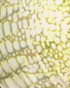 Vert croco
