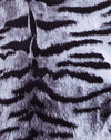 Placement du tigre plein d'argent