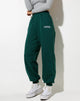 Image de Roider Jogger in Bottle Green Angel Embro in White
