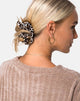 Image du chouchou dans Rar Leopard