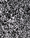 Animal abstrait