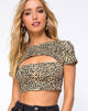 Image de Shim Cutout Crop Top in Rar Leopard