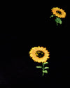 Tournesol Ditsy
