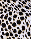 Guépard