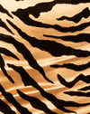 Tigre d'or