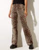 Image de Zoven Flare Trouser in True Leopard