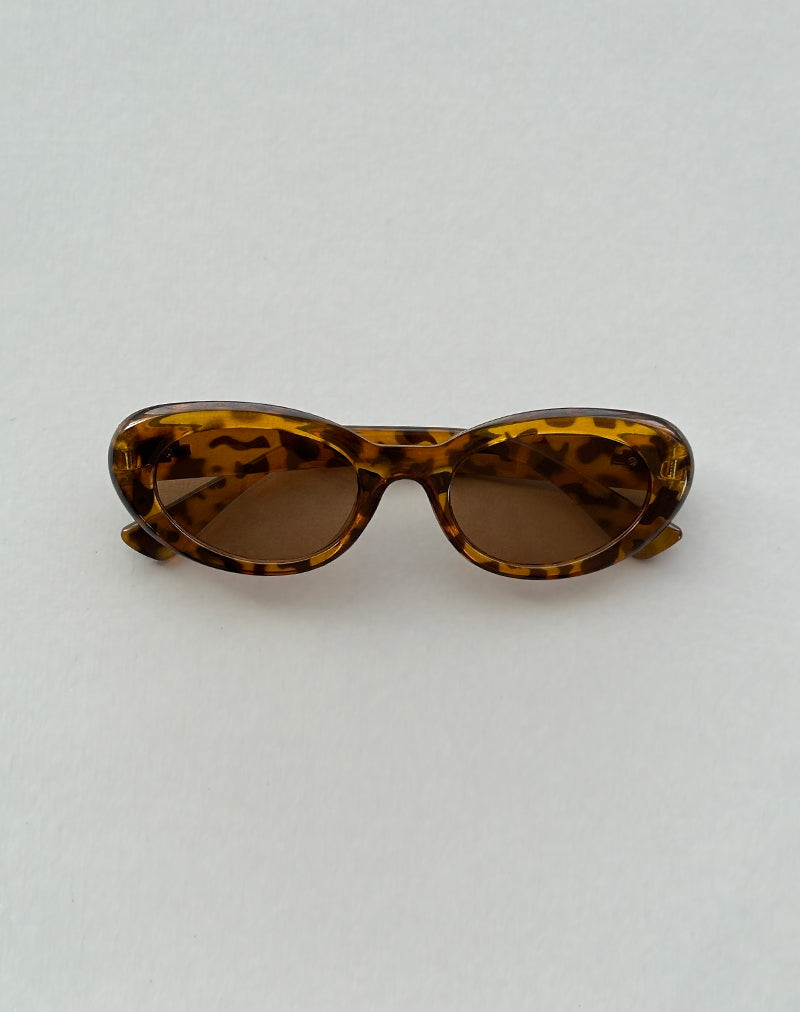 Lunettes de soleil Aldabra ovales en écaille de tortue