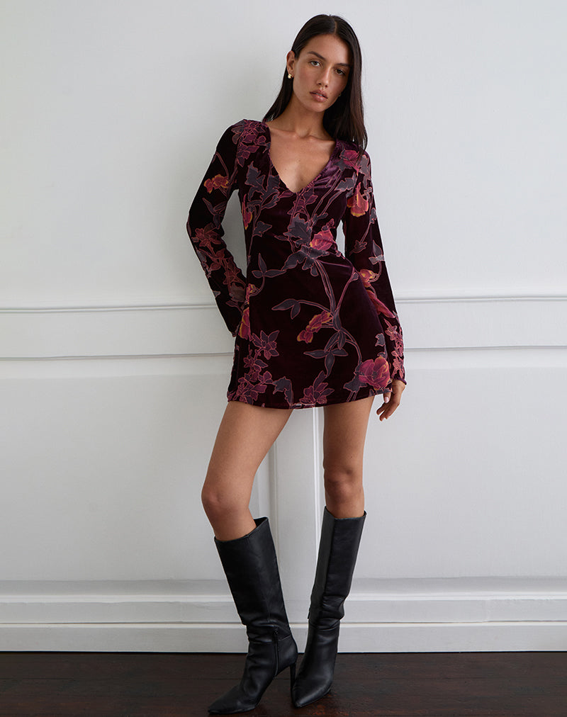 Images de Alitra Mini Robe en Devore floral Bourgogne
