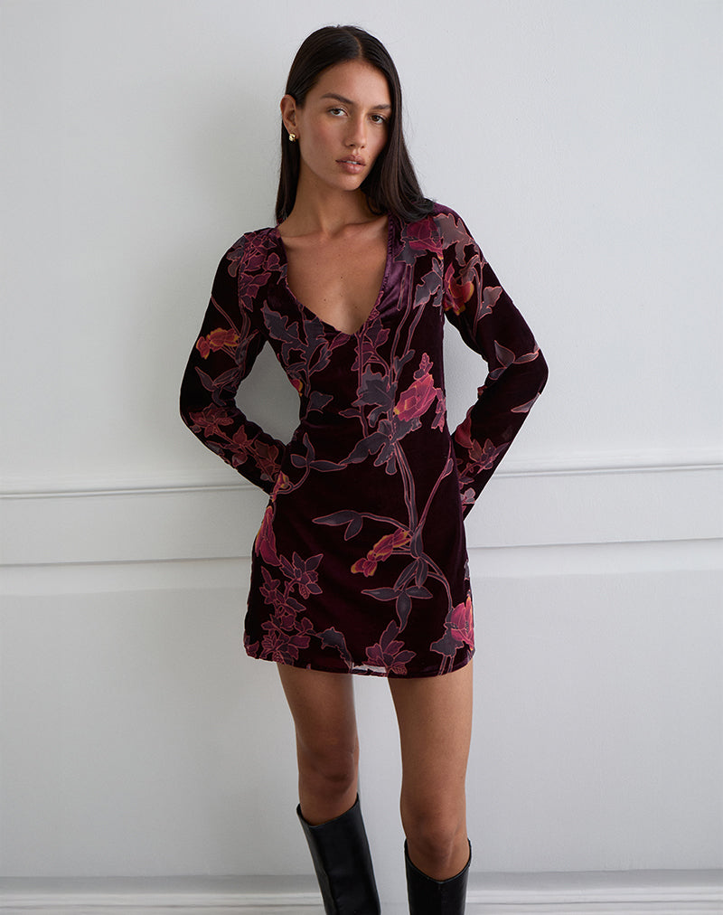 Images de Alitra Mini Robe en Devore floral Bourgogne
