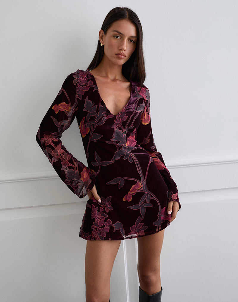 Images de Alitra Mini Robe en Devore floral Bourgogne