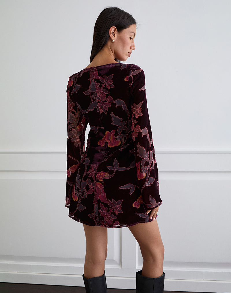 Images de Alitra Mini Robe en Devore floral Bourgogne