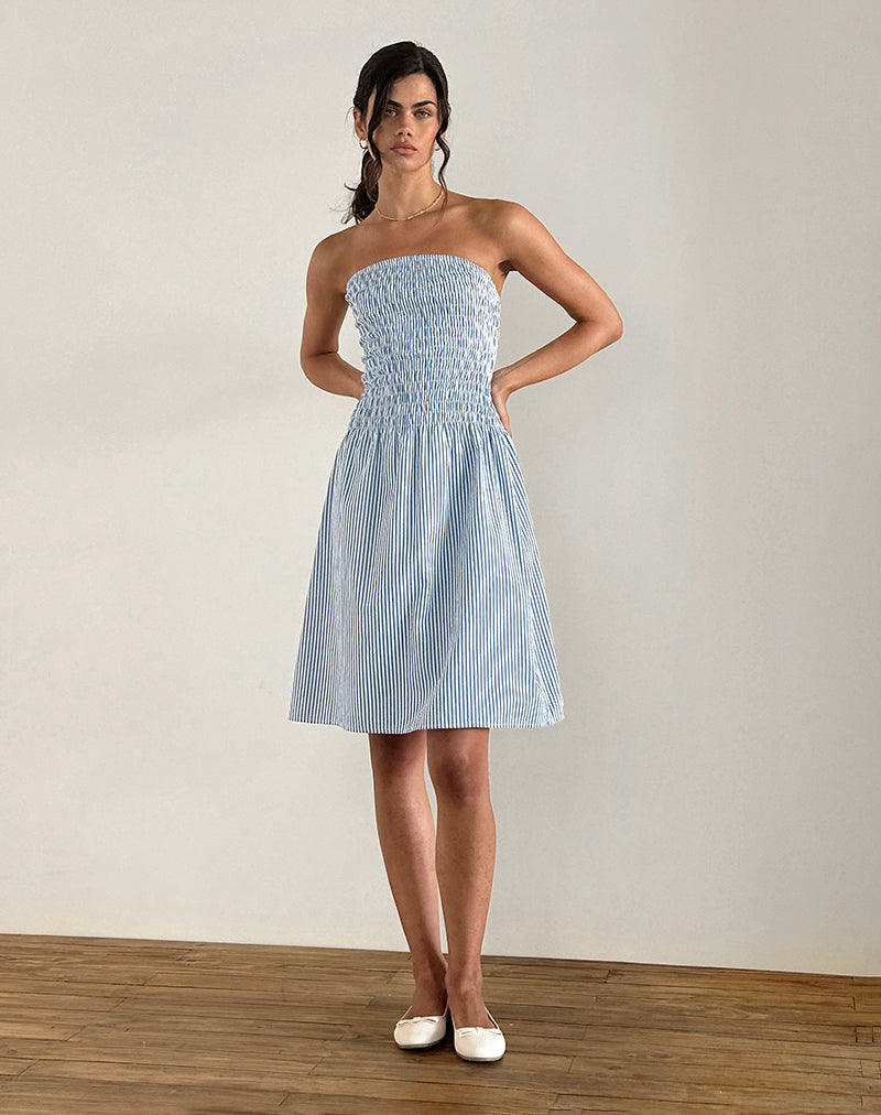 Belesi Midi Dress in Blue Small Vertical Stripe (Robe midi en bleu à petites rayures verticales)