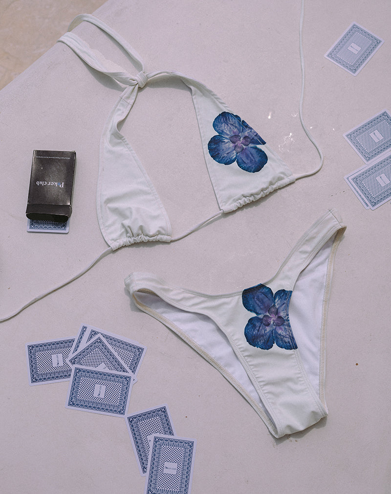 Image de Cerry Bikini Top in Ivory with Blue Orchid