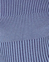 Bleu bicolore