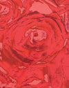 Rouge pétale de rose