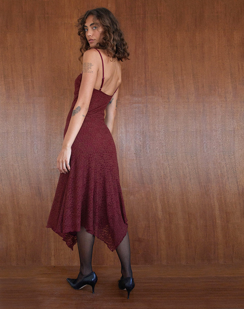 Image de Drusilla Midi Dress in Rose Lace Burgundy