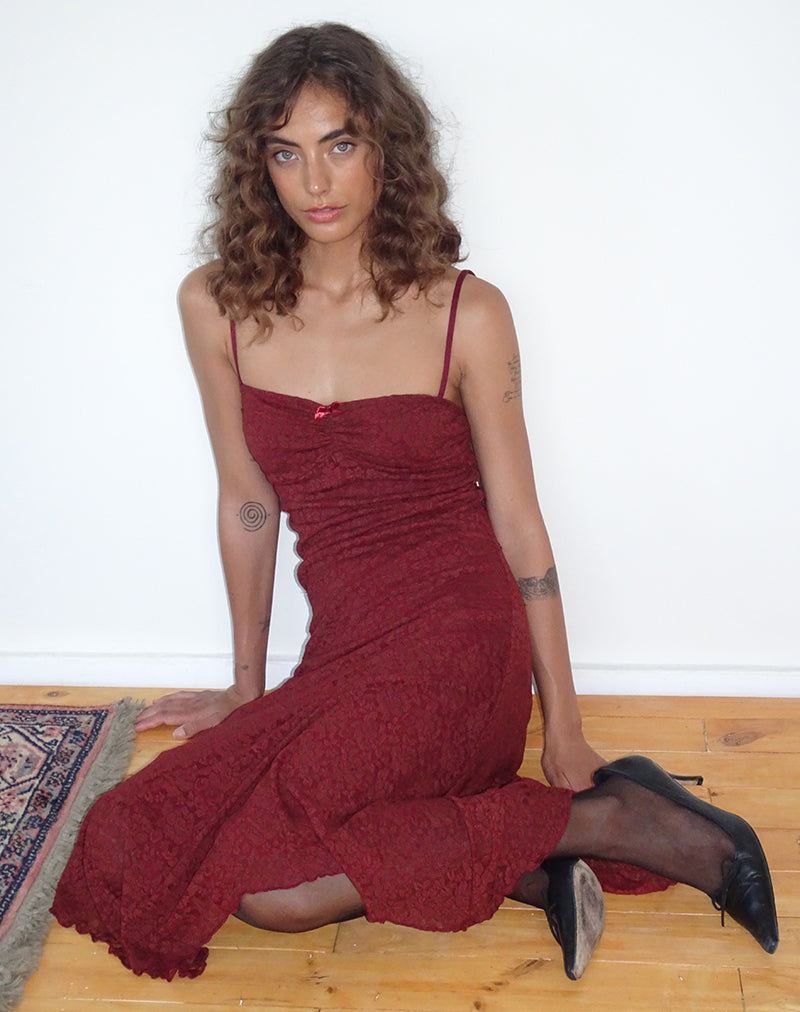 Image de Drusilla Midi Dress in Rose Lace Burgundy
