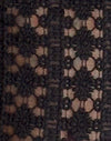 Regal Lace Noir