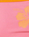  Hibiscus en éponge rose