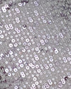 Paillettes argentées
