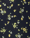 Citron et citron vert noir