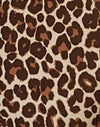Rar Leopard