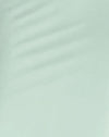 Menthe