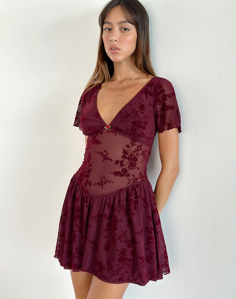 Mini robe Geni, Botanical Flower Maroon
