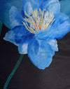 Fleur aquarelle noire et bleue