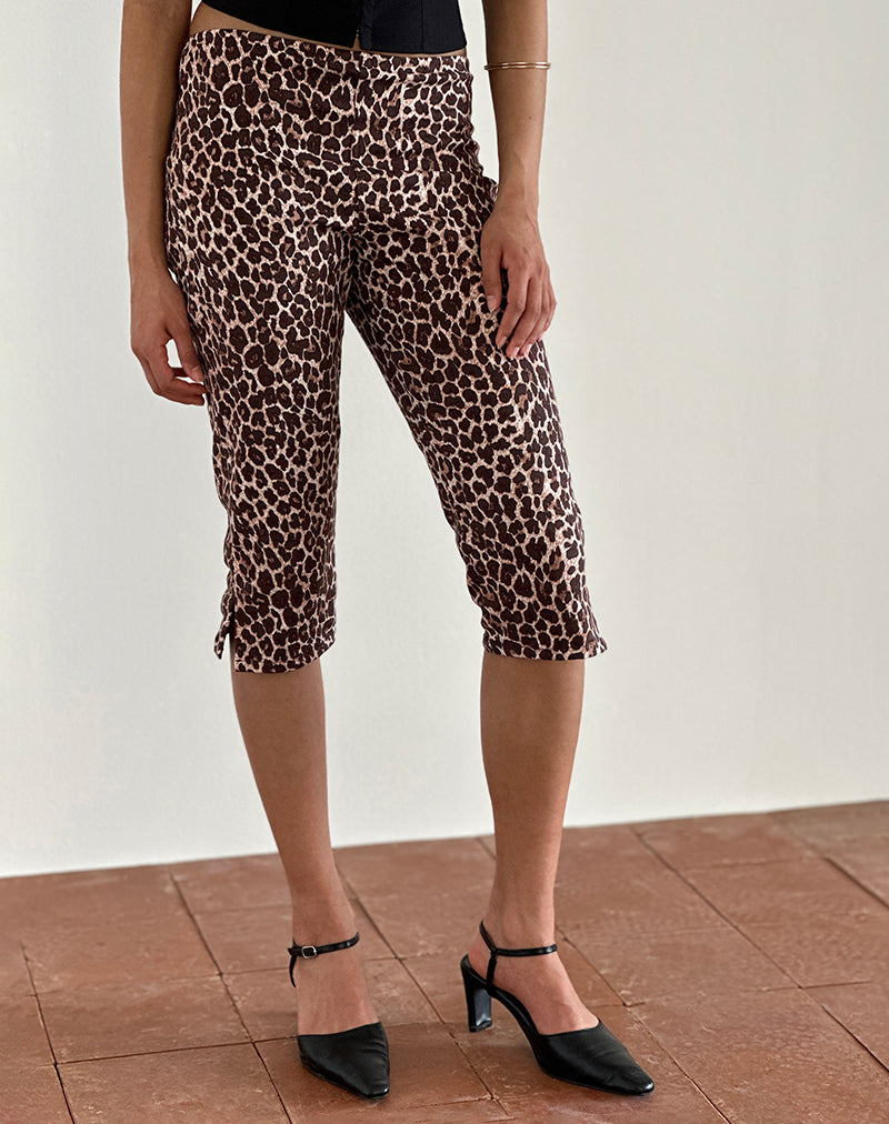 image de Japri Pushers en Rar Leopard Sandstorm