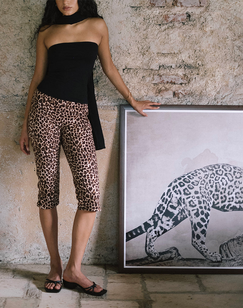 image de Japri Pushers en Rar Leopard Sandstorm