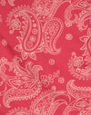 Retro Paisley Pink