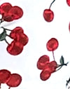 Cerises