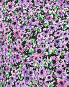 Fleur de lilas