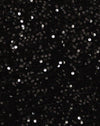 Mini Sequin Noir