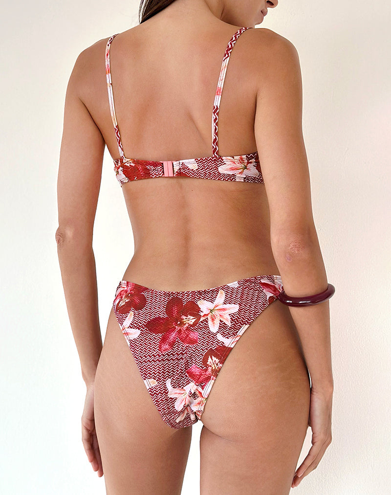 Image de Pali Bikini Top in Zig Zag Lily Burgundy