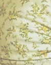 Grappe de roses jaunes avec bordure de picots