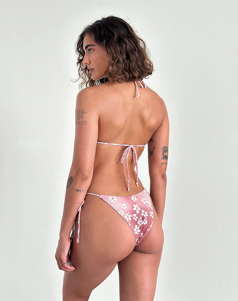 Image de Pami Bikini Top in Hibiscus Floral