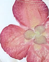 Ivoire avec orchidée rose